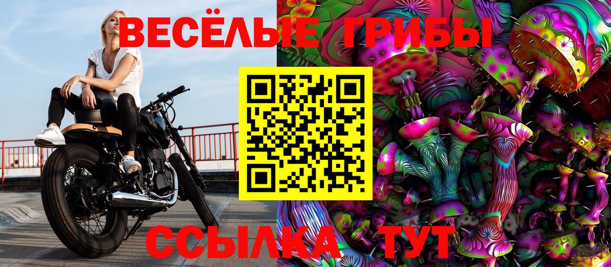 Муром  Галлюциногенные грибы GOLDEN TEACHER  Вход с VPN 